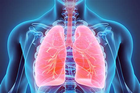 Infografika: Choroby dýchacích ciest spôsobené znečisteným ovzduším