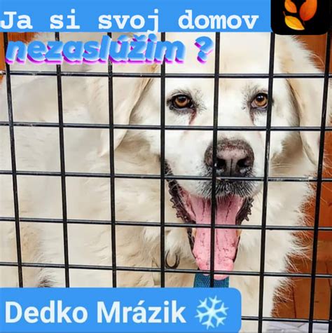 Ilustračná fotografia zobrazujúca rôznorodosť novozélandskej krajiny počas rôznych ročných období