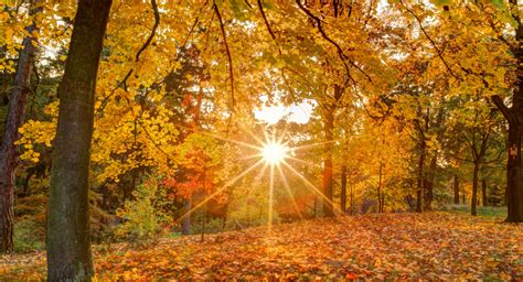 Fotografia pláže v lete s ľuďmi užívajúcimi si slnečné počasie