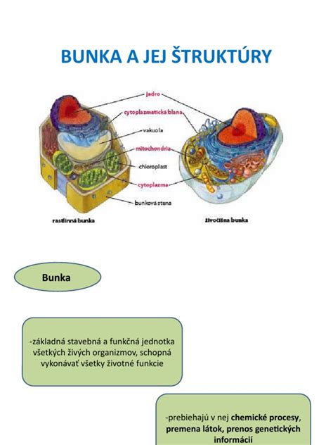 Ilustrácia molekulárnej štruktúry plastov a ich interakcie s vodou