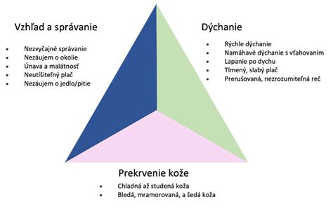 Schéma: Detský hodnotiaci trojuholník