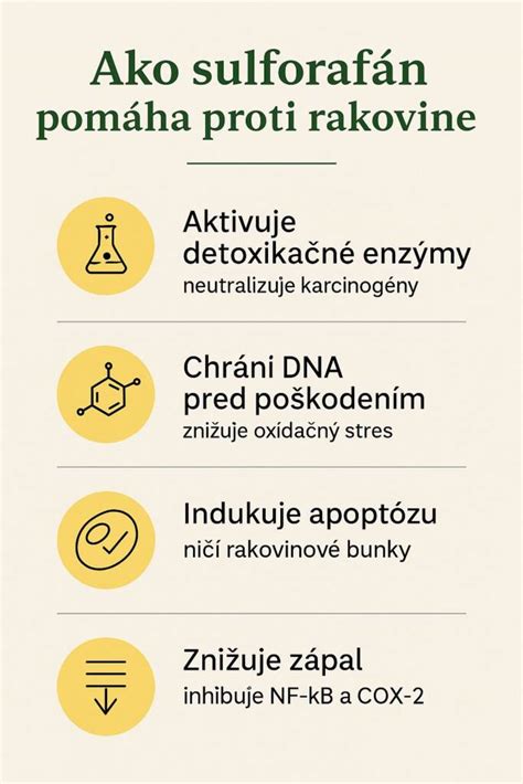 Infografika zobrazujúca funkciu demineralizačnej patróny