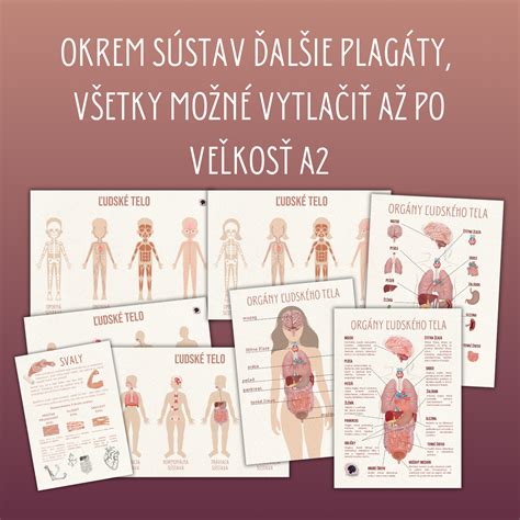 Schéma vplyvu suchého vzduchu na ľudské telo a domáce prostredie