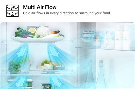 Schéma distribúcie vzduchu Multi Air Flow vo vnútri americkej chladničky
