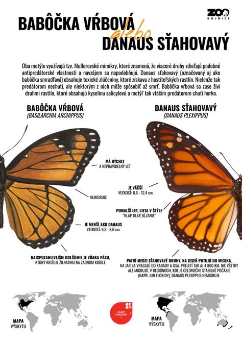 Infografika: Rozdiel medzi emisnými triedami kotlov