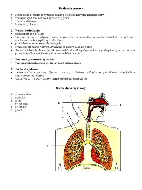 Schéma kolobehu vlhkosti v interiéri: varenie, pranie, dýchanie a sušenie bielizne ako hlavné zdroje vodnej pary.
