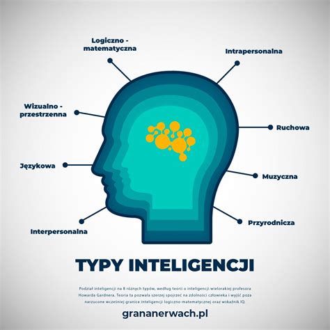 Infografika: Typy kotlov (závesný, stacionárny) a ich estetické kryty