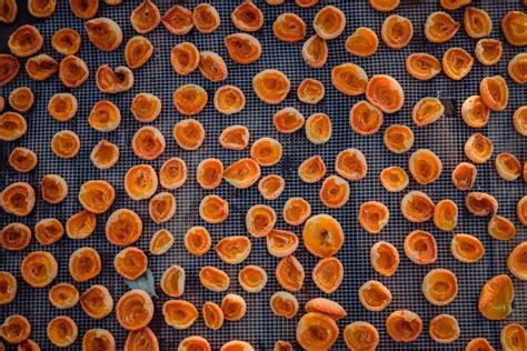 Schéma kolobehu vlhkosti v domácnosti (varenie, dýchanie, sušenie bielizne a jej vplyv na steny)