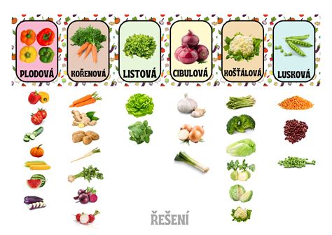 Foto rozličných druhov zeleniny pestovaných v zimnom skleníku