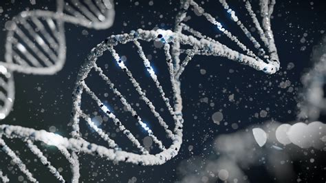 Vizualizácia funkcie dvojitého dna smart chladiacej vane a hydrodynamického prúdenia vody.