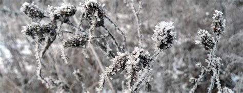 Fotografia ľadu na dymovom výfukovom potrubí, ktorý môže v silnom mraze vyrásť