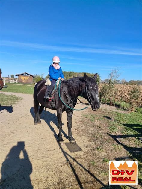 Ilustrácia znázorňujúca proces koordinácie medzi stavebným, architektonickým a TZB projektom