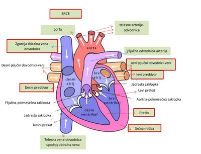 Ilustrácia funkcie letného obtoku (by-passu) v rekuperačnej jednotke