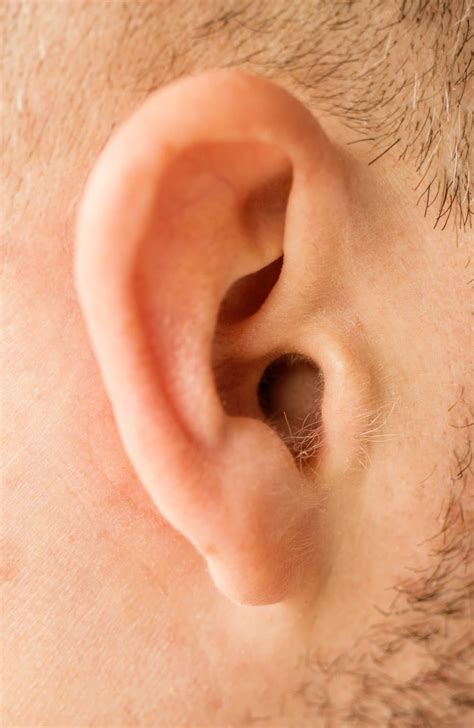 ilustrácia rôznych typov zvukov z vykurovacieho systému (žblnkotanie, šumenie, pískanie, hučanie)