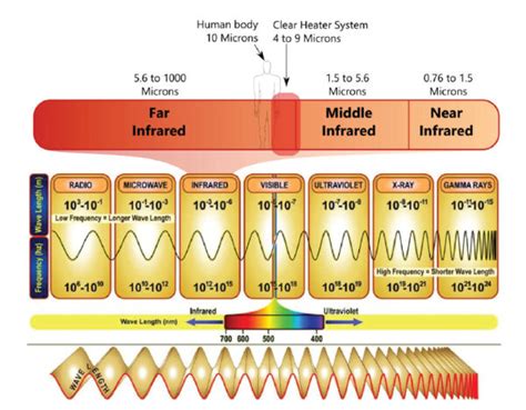 Infografika zobrazujúca účinky infračerveného žiarenia na plazy (napr. trávenie, aktivita)