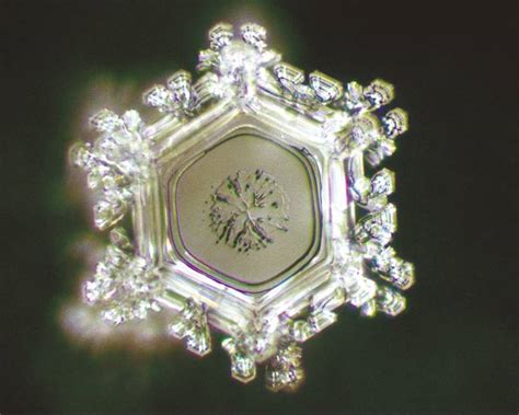 Fotografie kryštálov vody z laboratória Dr. Masaru Emota