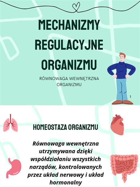 Ilustrácia: Mechanizmy výdaja tepla z organizmu