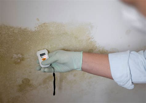 Ilustrácia vzniku plesní na stene v dôsledku vysokej vlhkosti