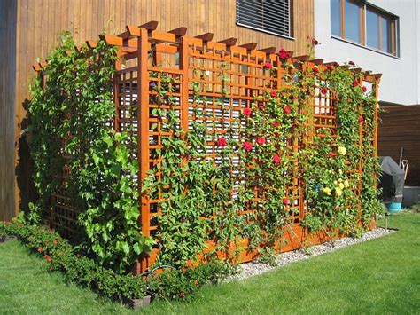 Kombinácia pergoly s popínavými rastlinami a vodnou fontánou