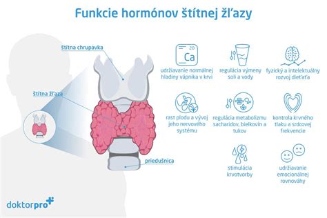 Infografika zobrazujúca vplyv hormónov na vaginálnu sliznicu a faktory ovplyvňujúce vaginálnu vlhkosť.