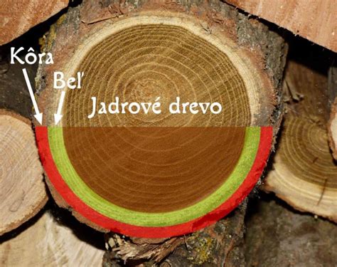 Štruktúra správne uskladneného dreva s prístupom vzduchu