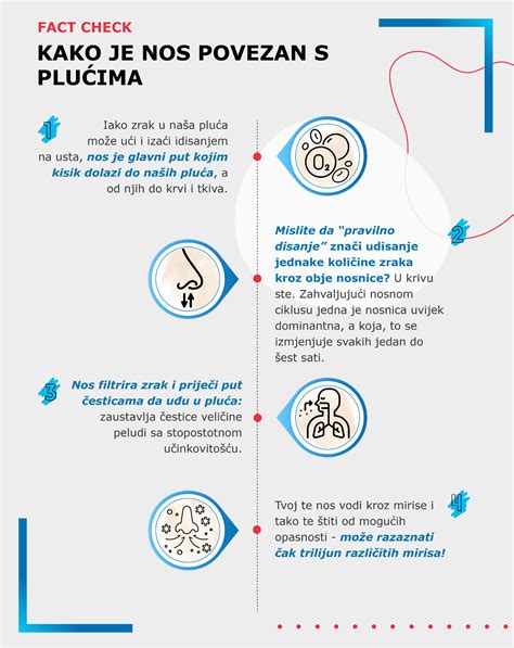 Infografika porovnávajúca pokročilé funkcie ultrazvukových zvlhčovačov vyššej triedy
