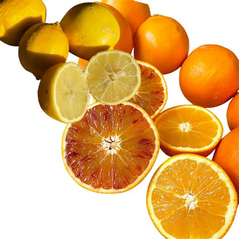 Ilustračná fotografia rušňa T 679.0