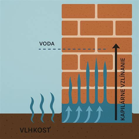 infografika znázorňujúca kapilárne vzlínanie vody v rôznych stavebných materiáloch