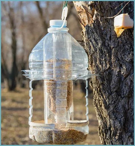 Ilustrácia správneho umiestnenia zvlhčovača z PVC fľaše v záhone