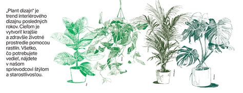 Ilustrácia rastlín v interiéri s optimálnou vlhkosťou