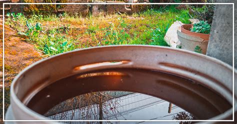 Ilustračná fotografia kvapalného dusíka v nádobe