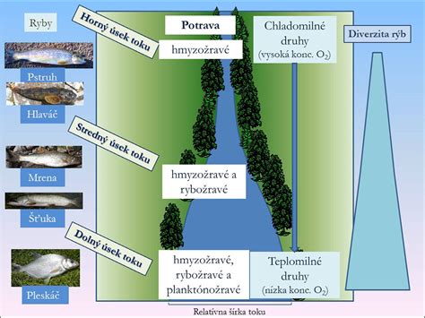 Dva typy vodných filtrov: jeden určený na vonkajšiu montáž a druhý na vnútorné umiestnenie v chladničke