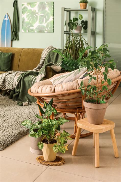 Tematické foto interiéru s rastlinami a sviežim vzduchom