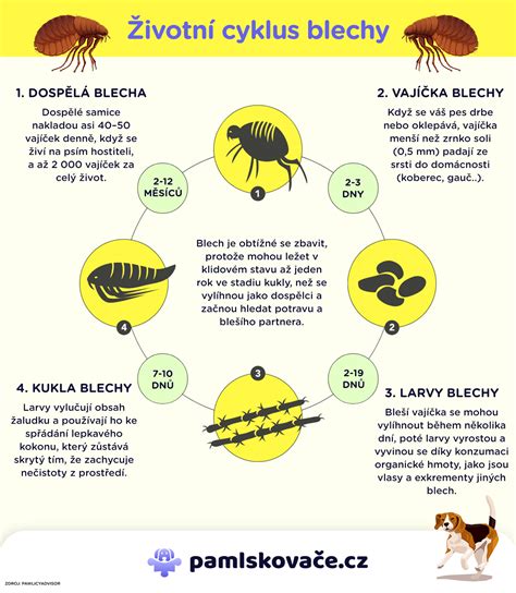 Infografika najčastejších porúch chladničiek