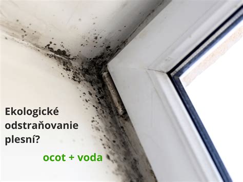 Ilustrácia okna s kondenzáciou a plesňou