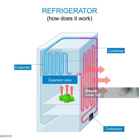 Schematické znázornenie vnútorného fungovania chladničky