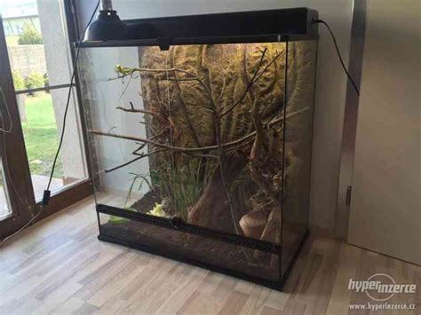 Terárium pre leguána zeleného s vetvami a vodnou nádržou