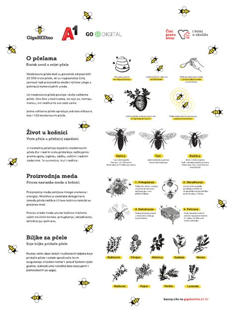 Infografika o bezpečnostných zónach a značeniach v chladenom sklade