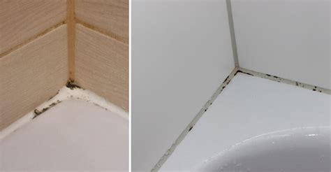 Detail plesne na silikónovom tesnení v sprchovom kúte.