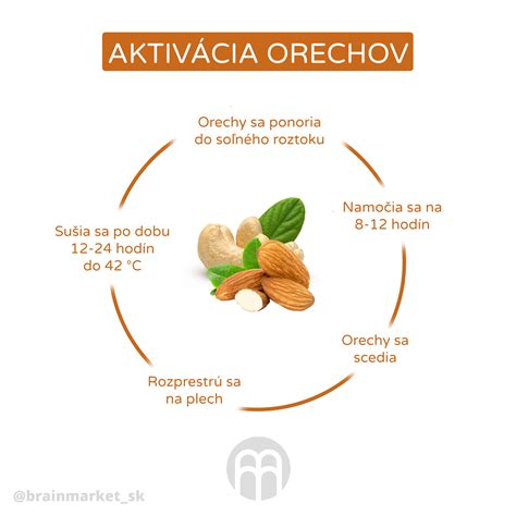 Infografika: porovnanie trvanlivosti orechov pri rôznych teplotách skladovania