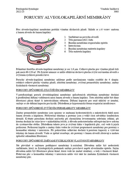 Detail ultrazvukovej membrány zvlhčovača