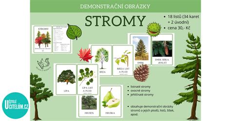 stromy poskytujúce tieň a ochladenie