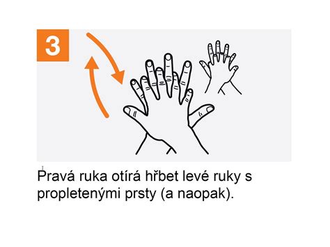 Ilustrácia: Postup správneho balenia mäsa pred zmrazením
