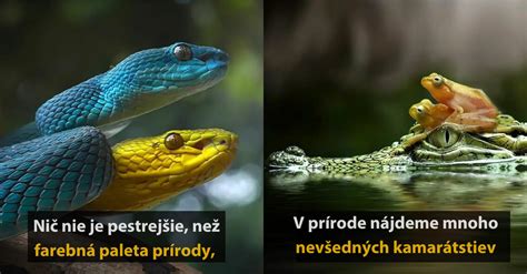 Detailné fotografie pripájania hadíc a fitingov k jednotlivým komponentom vodného chladenia.