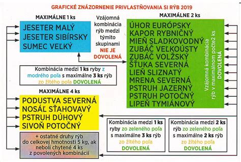Grafické znázornenie možných kombinácií chladiaceho stropu so vztlakovým alebo zmiešavacím vetraním.