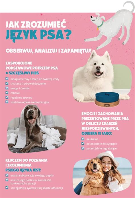 infografika s príznakmi prehriatia psa