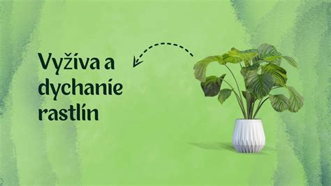 schéma optimálnej vlhkosti pre rastliny v rôznych fázach rastu