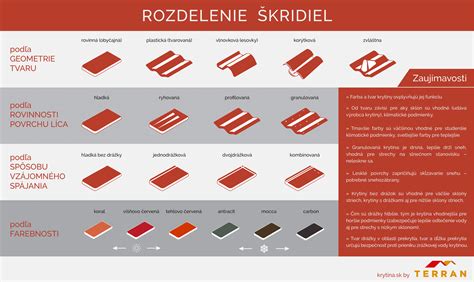 infografika zobrazujúca rozdelenie chladničiek podľa typu: kombinované, monoklimatické, americké a minichladničky