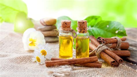 Infografika zobrazujúca bežné esenciálne oleje a ich účinky (napr. levanduľa - relax, eukalyptus - dýchanie)