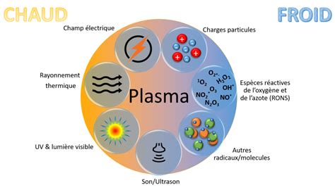schéma fungovania Cold Plasma generátora